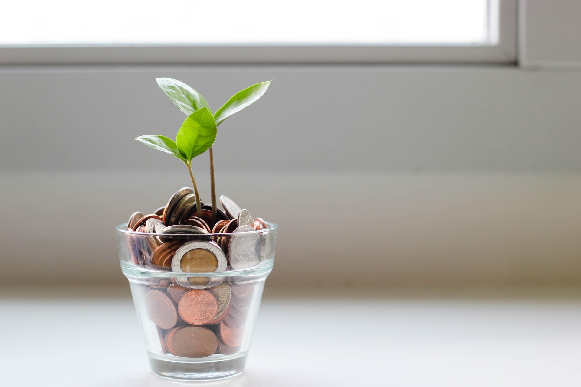 Economie education evolution